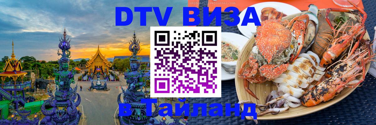 Оформление DTV визы под ключ: стоимость и тарифы, только загранпаспорт - Брянск  20.11.2025 